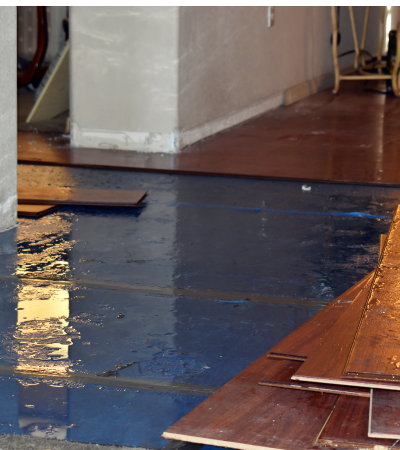 water damage and mold remediation in Birmingham