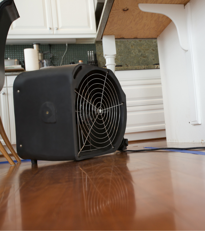 Water damage and mold remediation in Birmingham Al